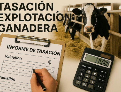 Tasación explotación ganadera: cómo valorar fincas rústicas agrícolas y ganaderas