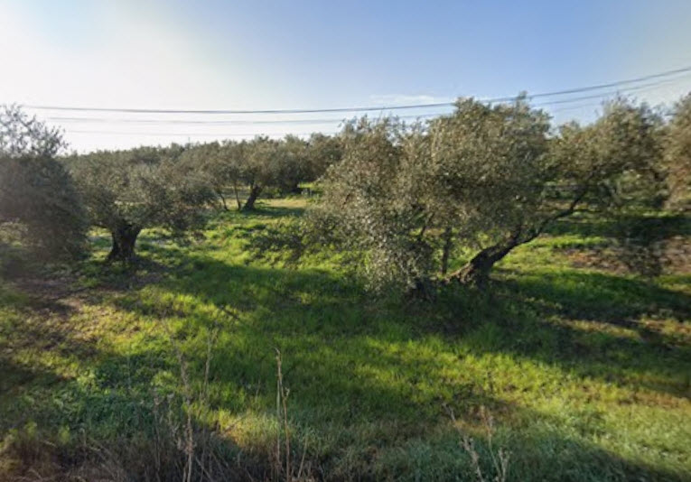 tasación finca rústica Alicante